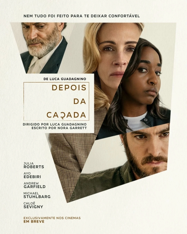 Cartaz de divulgação do filme Depois da Caçada.